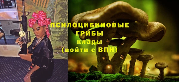 mdpv Баксан
