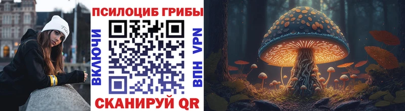 Псилоцибиновые грибы Psilocybe даркнет сайт Буй